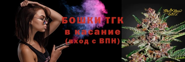амф Вяземский