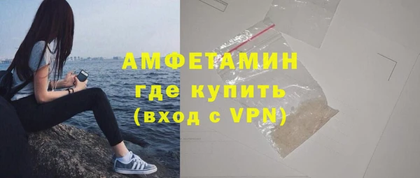амф Вяземский