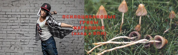 хмурый Вязьма