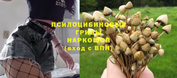амф Вяземский